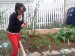 Twigs in the Garden Workshop with Noelene Byrne